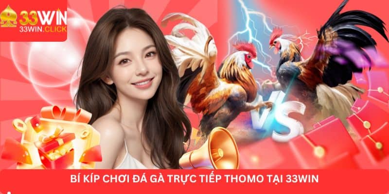 Tổng hợp cách thức chơi đá gà Thomo hiệu quả