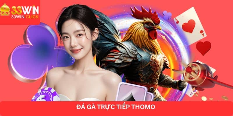 Đá gà trực tiếp Thomo